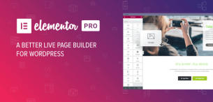 افزونه المنتور پرو | Elementor Pro