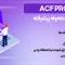 افزونه زمینه های دلخواه, Advanced Custom Fields Pro
