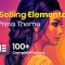 قالب Phlox Pro | قالب چند منظوره فلاکس پرو