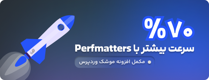 افزونه Perfmatters، افزایش سرعت سایت