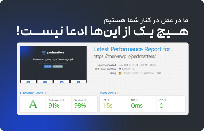 افزونه Perfmatters، افزایش سرعت سایت