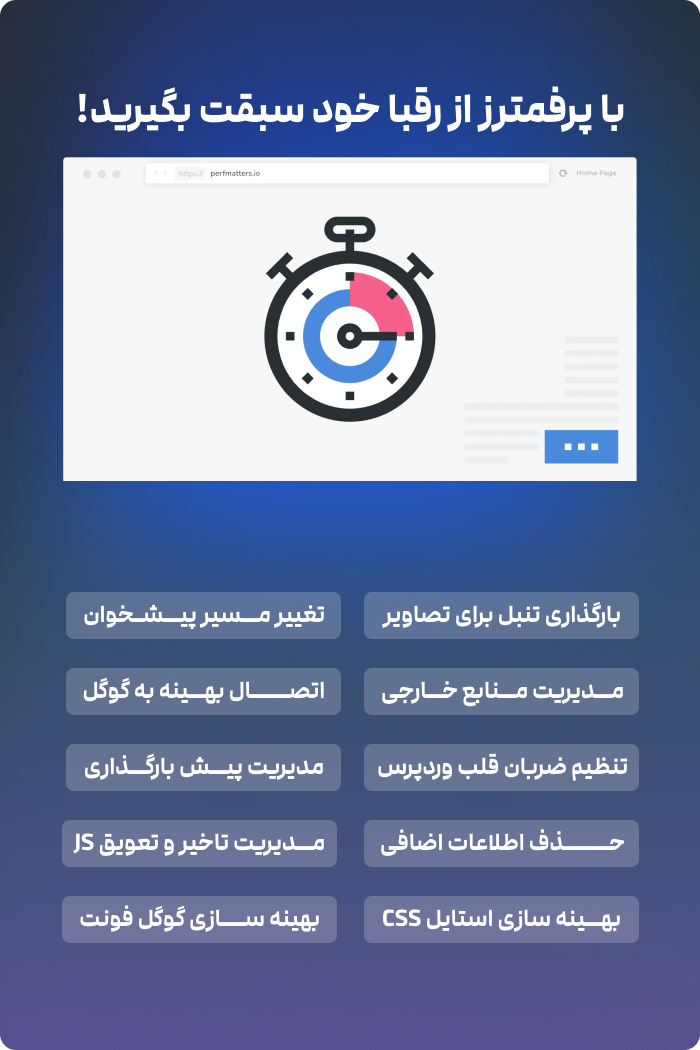 افزونه Perfmatters، افزایش سرعت سایت