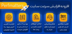 افزونه Perfmatters، افزایش سرعت سایت
